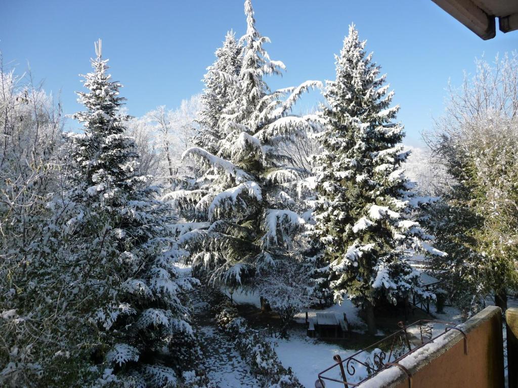 Garden House - Hotel Sport Levico Terme Luaran gambar